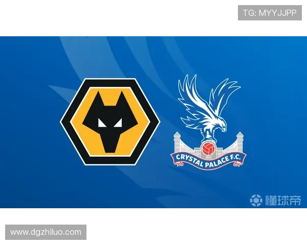 狼队与水晶宫的战术纪律对决，谁将胜出？